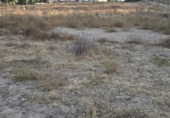 Non-developable land for sale on España, Aljaraque, ref: TR338765 photo