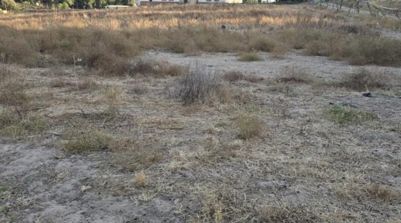 Huelva - Aljaraque - 3000m2