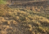 Non-developable land for sale on España, Aljaraque, ref: TR338765 photo
