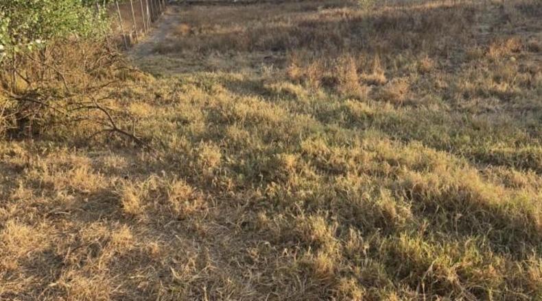 Huelva - Aljaraque - 3000m2