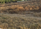 Non-developable land for sale on España, Aljaraque, ref: TR338765 photo
