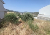 Parcel·la urbanitzable en venda a la España, Los Villares, ref.: TR311044 foto