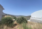 Parcel·la urbanitzable en venda a la España, Los Villares, ref.: TR311044 foto