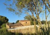 Terreno no urbanizable en venta en la España, Alcover, ref: TR323893 foto