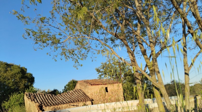 Tarragona - Alcover - 14000m2