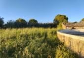 Terreno no urbanizable en venta en la España, Alcover, ref: TR323893 foto