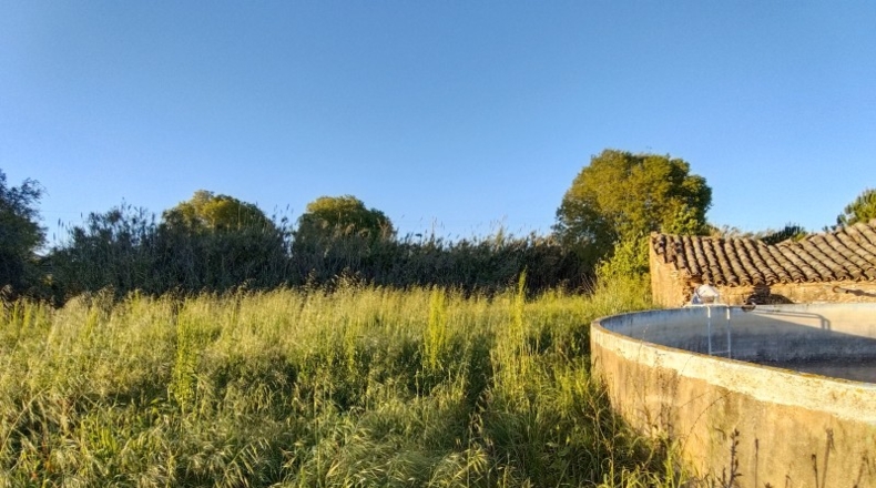 Tarragona - Alcover - 14000m2