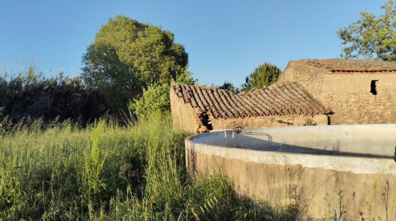 Tarragona - Alcover - 14000m2