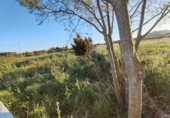 Terreno no urbanizable en venta en la España, Alcover, ref: TR323893 foto