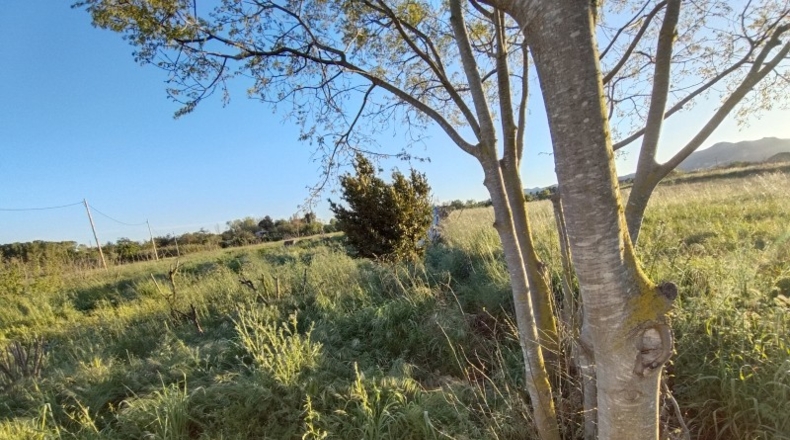 Tarragona - Alcover - 14000m2