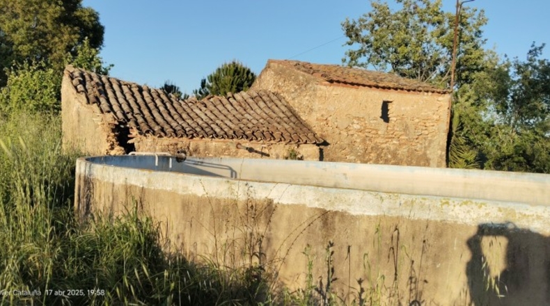 Tarragona - Alcover - 14000m2