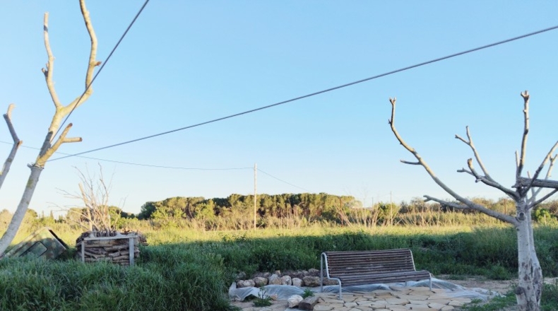 Tarragona - Alcover - 14000m2