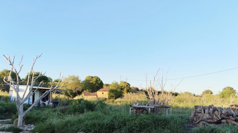 Tarragona - Alcover - 14000m2