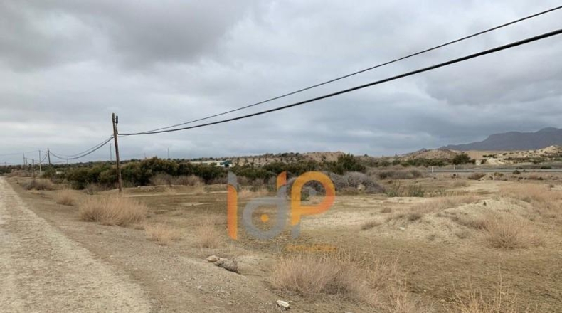 Almería - Cuevas del Almanzora - 11000m2