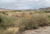 Terreno no urbanizable en venta en la España, Cuevas del Almanzora, ref: TR375901 foto