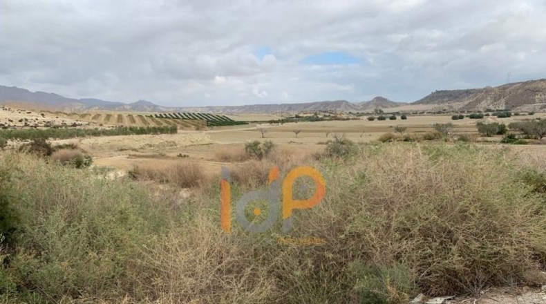 Almería - Cuevas del Almanzora - 11000m2