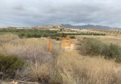 Terreno no urbanizable en venta en la España, Cuevas del Almanzora, ref: TR375901 foto