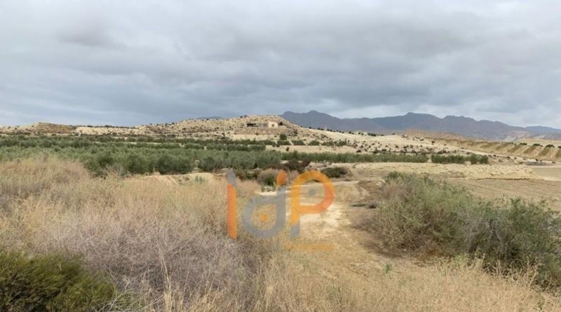 Almería - Cuevas del Almanzora - 11000m2