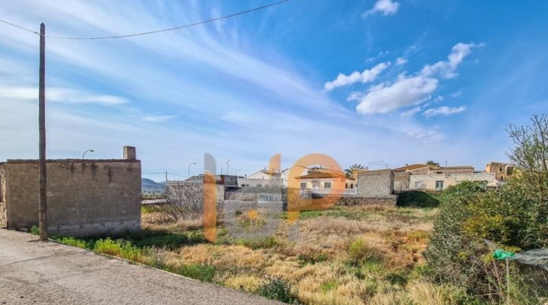Almería - Albox - 810m2