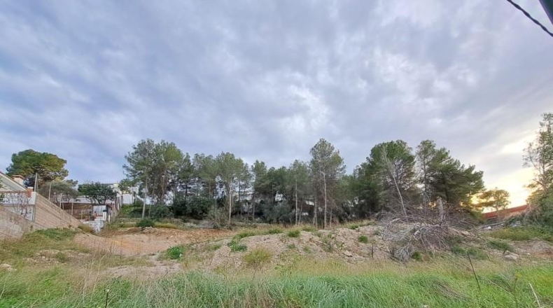 Valencia - Alcira - 208m2