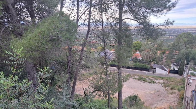 Valencia - Alcira - 208m2