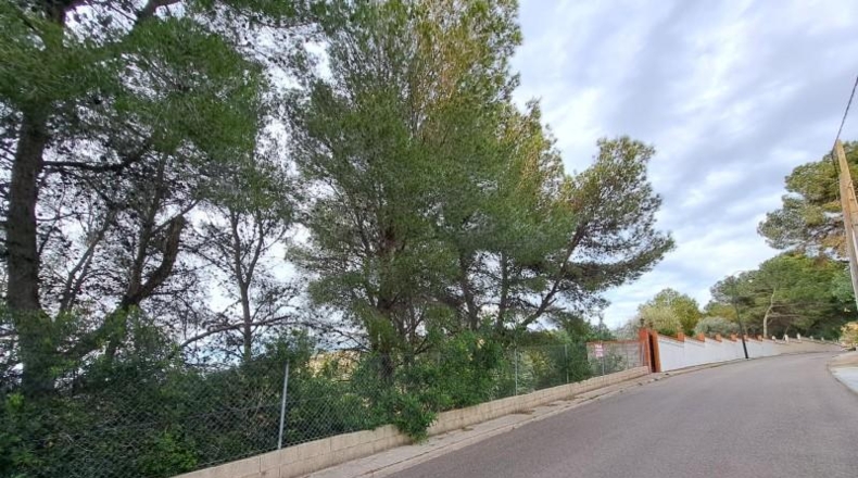 Valencia - Alcira - 208m2