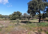 Terreny no urbanitzable en venda a la España, Badajoz, ref.: TR114601 foto