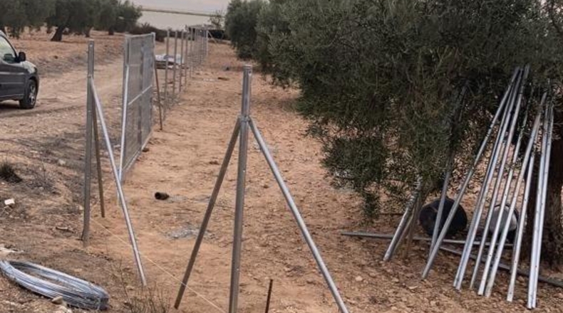 Múrcia - Alhama de Murcia - 8956m2
