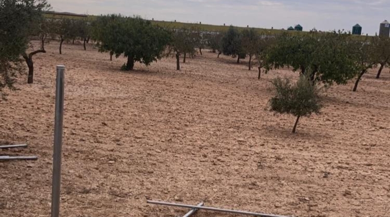 Múrcia - Alhama de Murcia - 8956m2