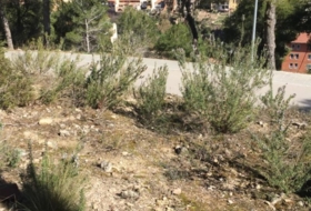 Foto 9
