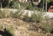 Parcel·la urbanitzable en venda a la España, Monistrol de Montserrat, ref.: TR115448 foto