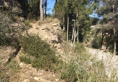 Parcel·la urbanitzable en venda a la España, Monistrol de Montserrat, ref.: TR115448 foto