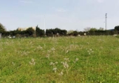 Land suitable for development for sale on España, Alcalá del Río, ref: TR131699 photo