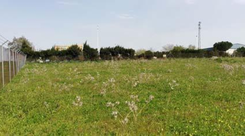 Sevilla - Alcalá del Río - 7200m2