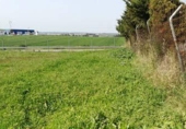 Land suitable for development for sale on España, Alcalá del Río, ref: TR131699 photo