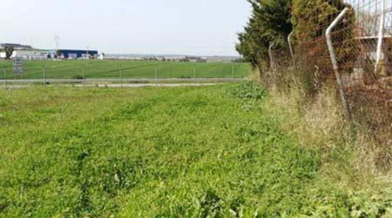Sevilla - Alcalá del Río - 7200m2