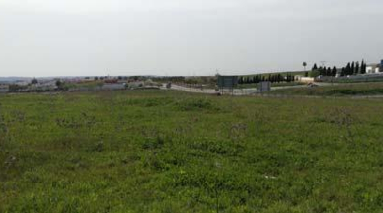 Sevilla - Alcalá del Río - 7200m2