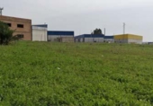 Land suitable for development for sale on España, Alcalá del Río, ref: TR131699 photo
