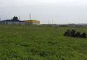 Land suitable for development for sale on España, Alcalá del Río, ref: TR131699 photo