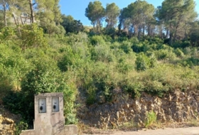 Foto 11