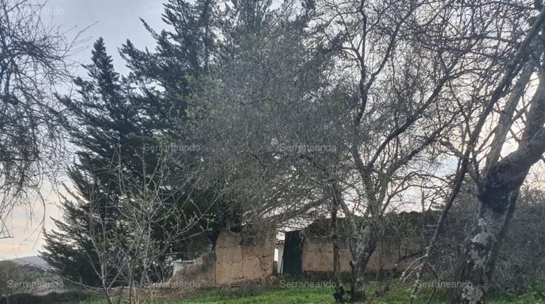 Huelva - Galaroza - 410m2
