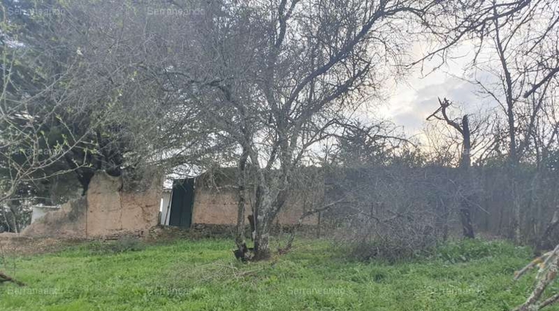 Huelva - Galaroza - 410m2
