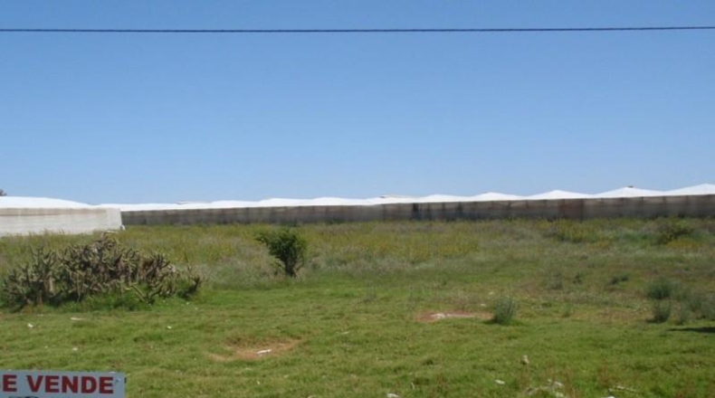 Almería - El Ejido - 2445m2