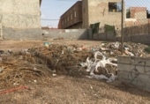 Non-developable land for sale on España, Cartagena, ref: TR328239 photo