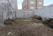 Casa amb terreny en venda a la España, Albatera, ref.: TR303336 foto