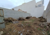 Casa amb terreny en venda a la España, Albatera, ref.: TR303336 foto