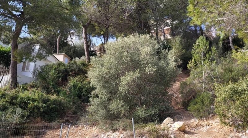 Tarragona - Calafell - 582m2