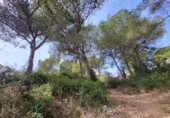 Sòl urbà en venda a la España, Calafell, ref.: TR123367 foto