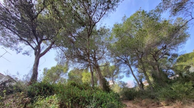 Tarragona - Calafell - 582m2