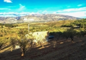 Chalet independiente con terreno en venta en la España, Cozvíjar, ref: TR231790 foto